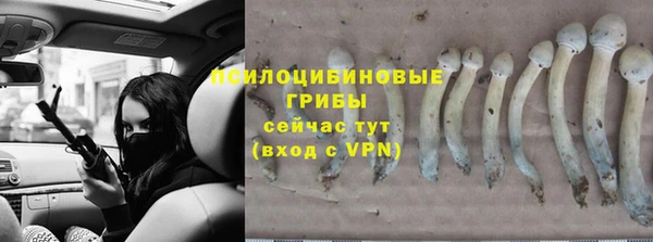 дживик Няндома