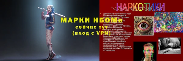 хмурый Алексин