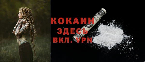 хмурый Алексин
