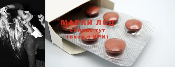 хмурый Алексин