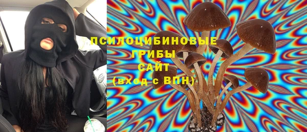 соль ск Алексеевка