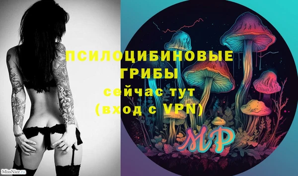 хмурый Алексин