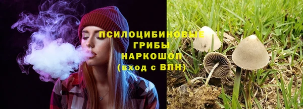 соль ск Алексеевка