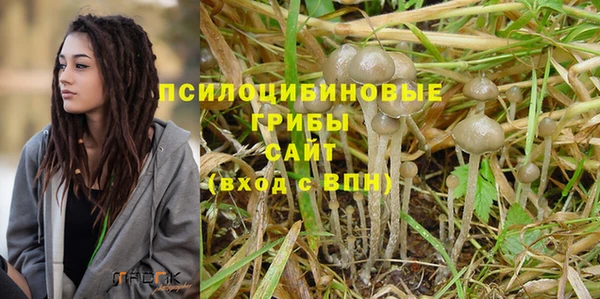spice Алзамай