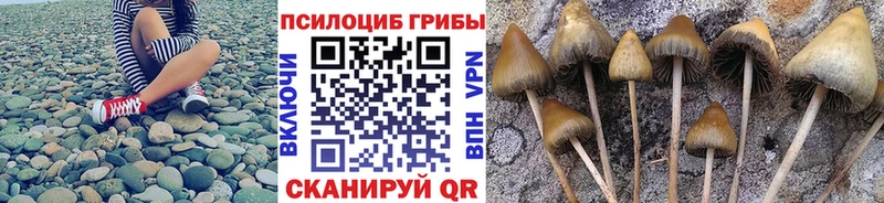 Галлюциногенные грибы ЛСД  Сасово 